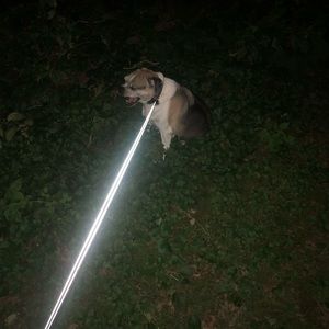 Meet your Posher, Kara